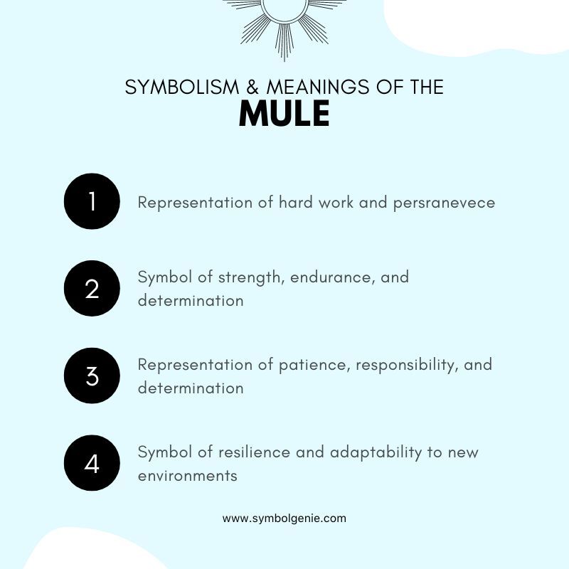 Mule Symbolism and Meaning