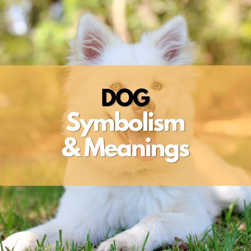 dog symbolism meaning and history