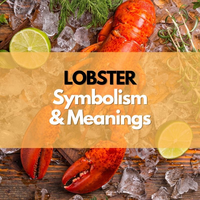 lobster symbolism meaning and history