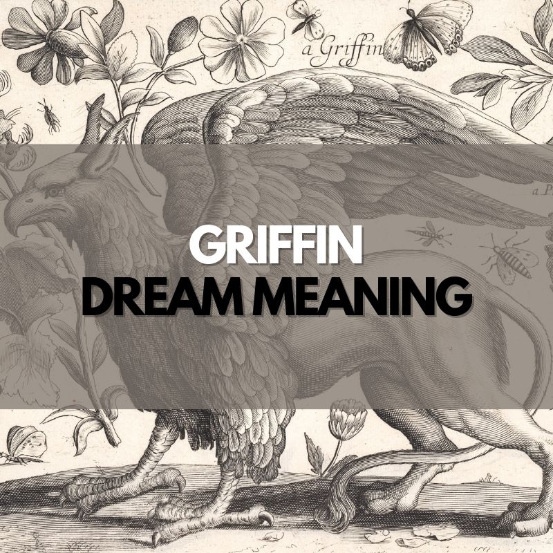 griffin dream meaning