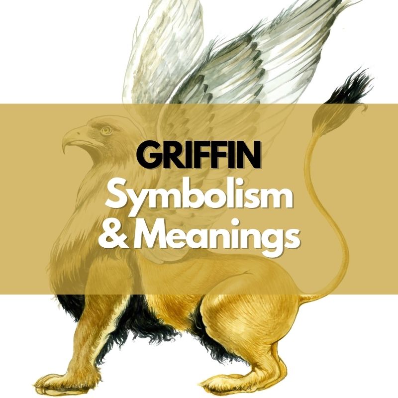 griffin symbolism and meaning
