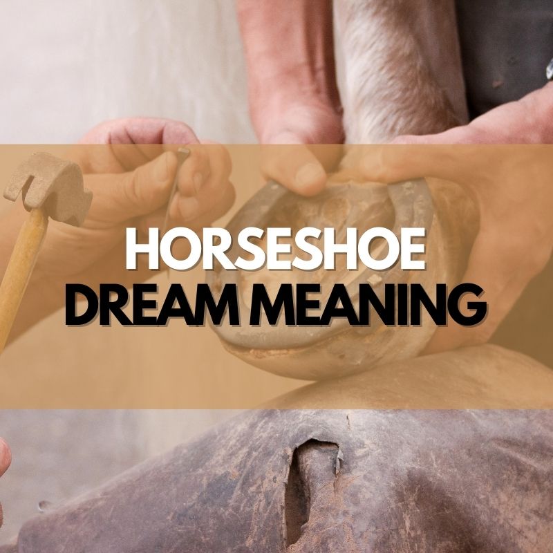 horseshoe dream meaning