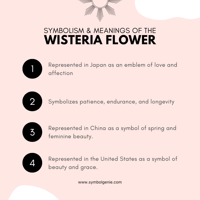 wisteria flower symbolism