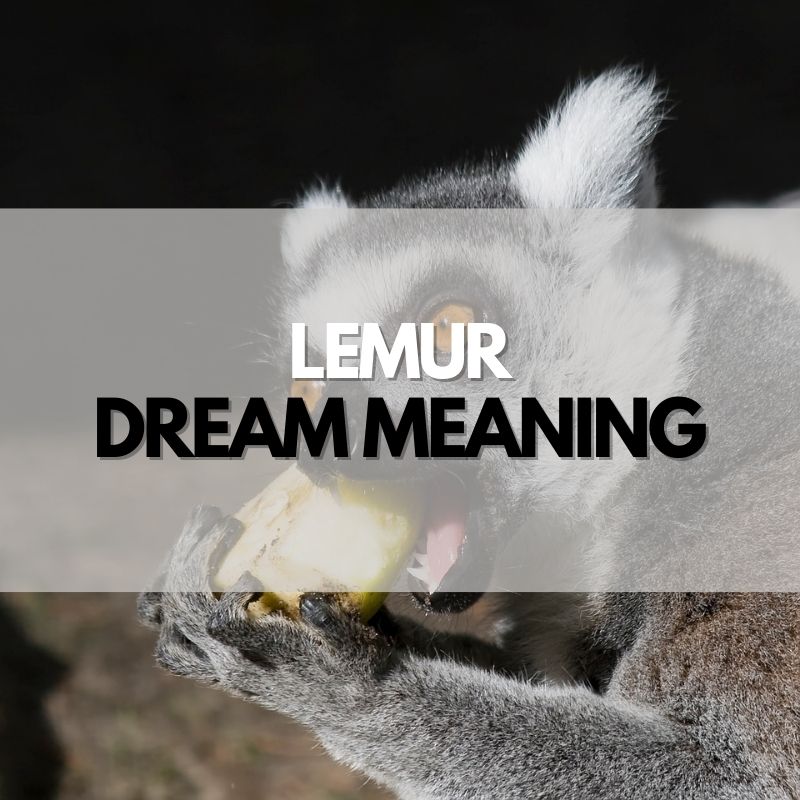 lemur dream meaning