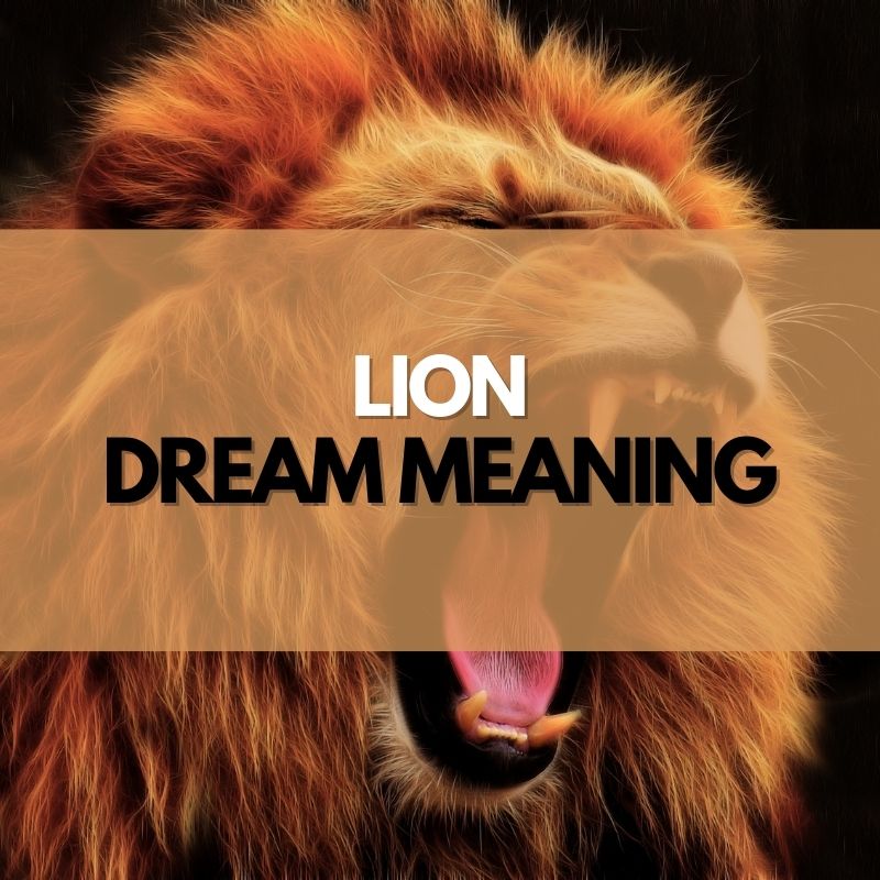 lion dream meaning