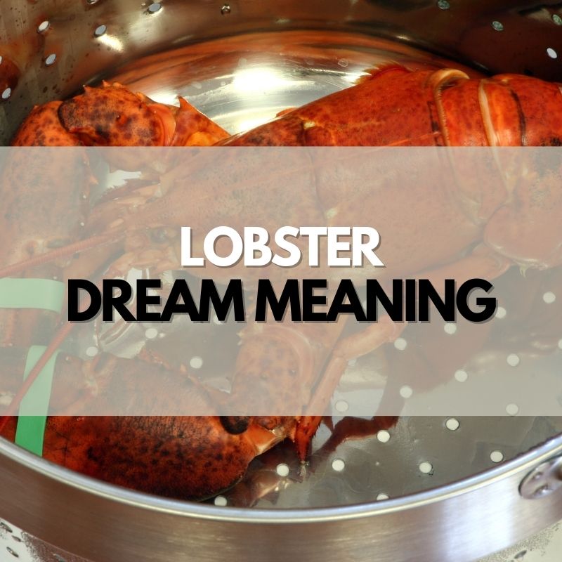 lobster dream meaning