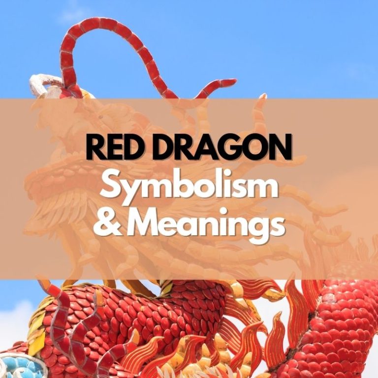 What Does a Red Dragon Symbolize? - Symbol Genie