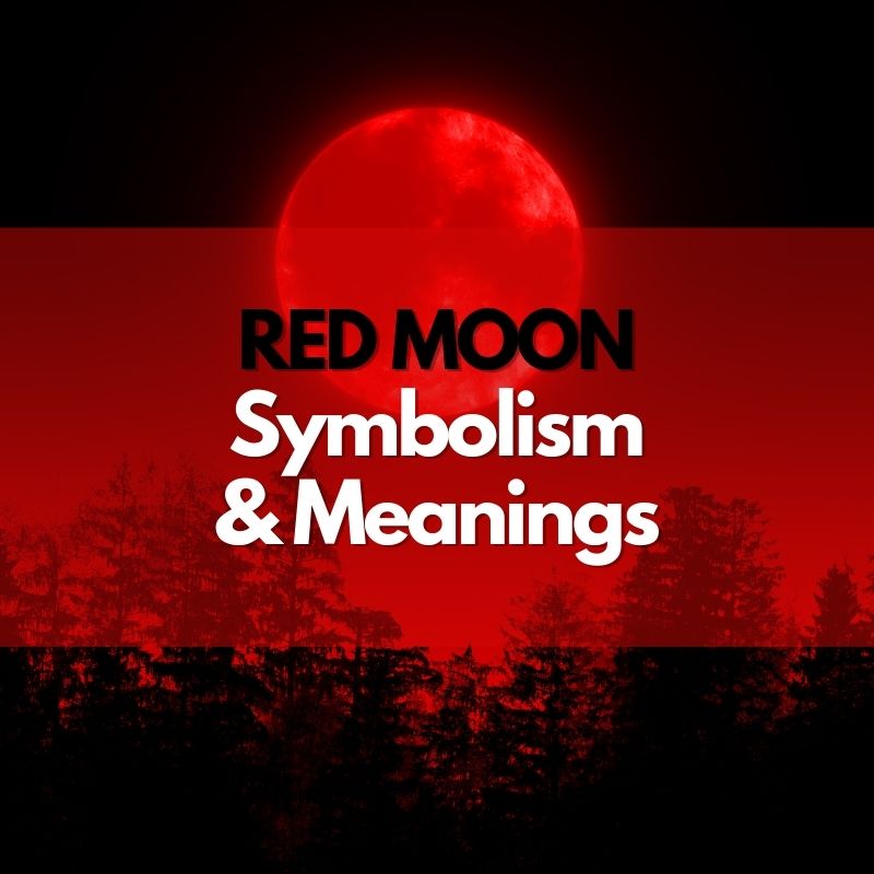 Red Moon In 2024 Meaning Cris Michal