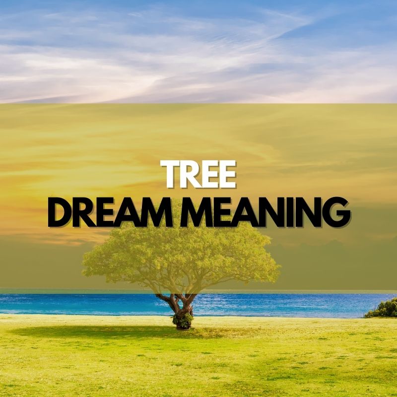 tree dream meaning