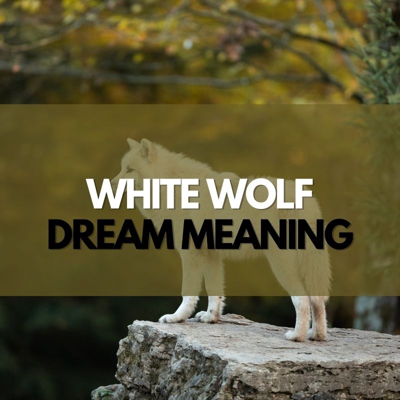 white wolf dream meaning