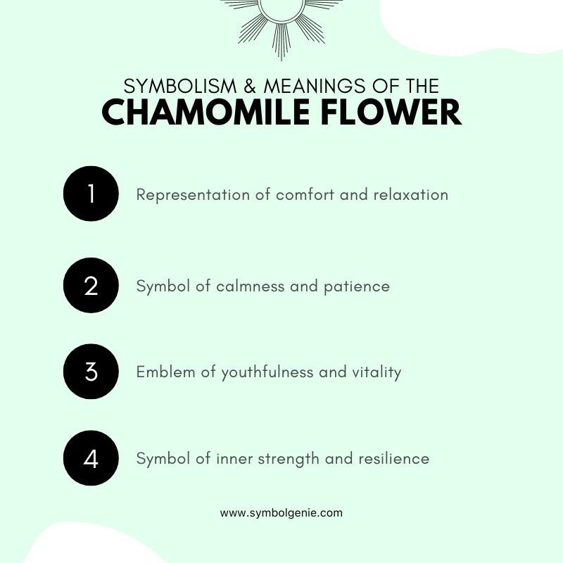 chamomile flower symbolism
