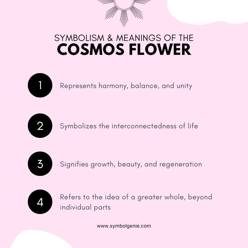 cosmos flower fymbolism