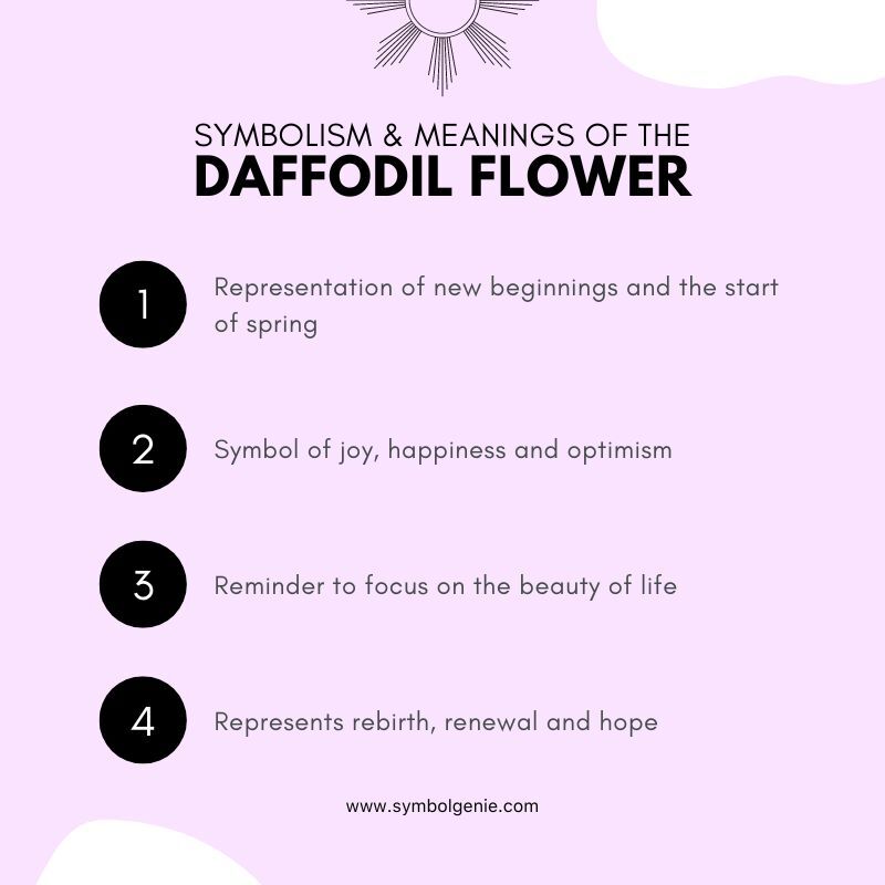 daffodil flower symbolism