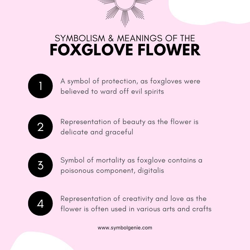 foxglove flower symbolism