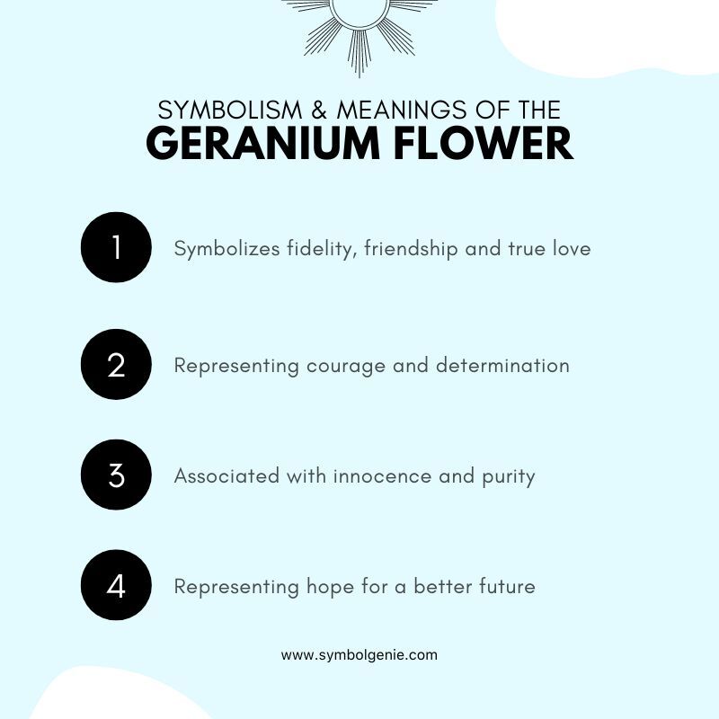 geranium flower symbolism