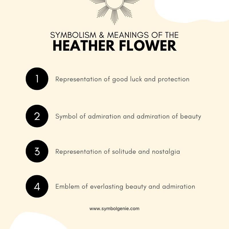 heather flower symbolism