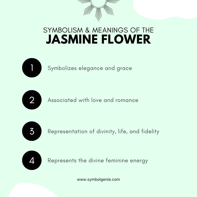 jasmin flower symbolism