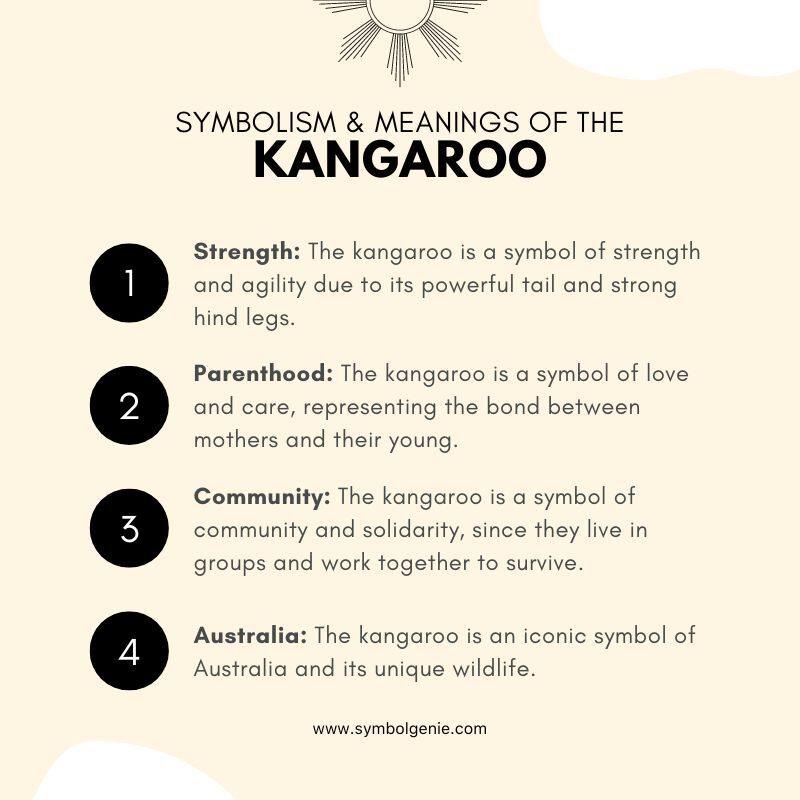 Kangaroo Symbolism
