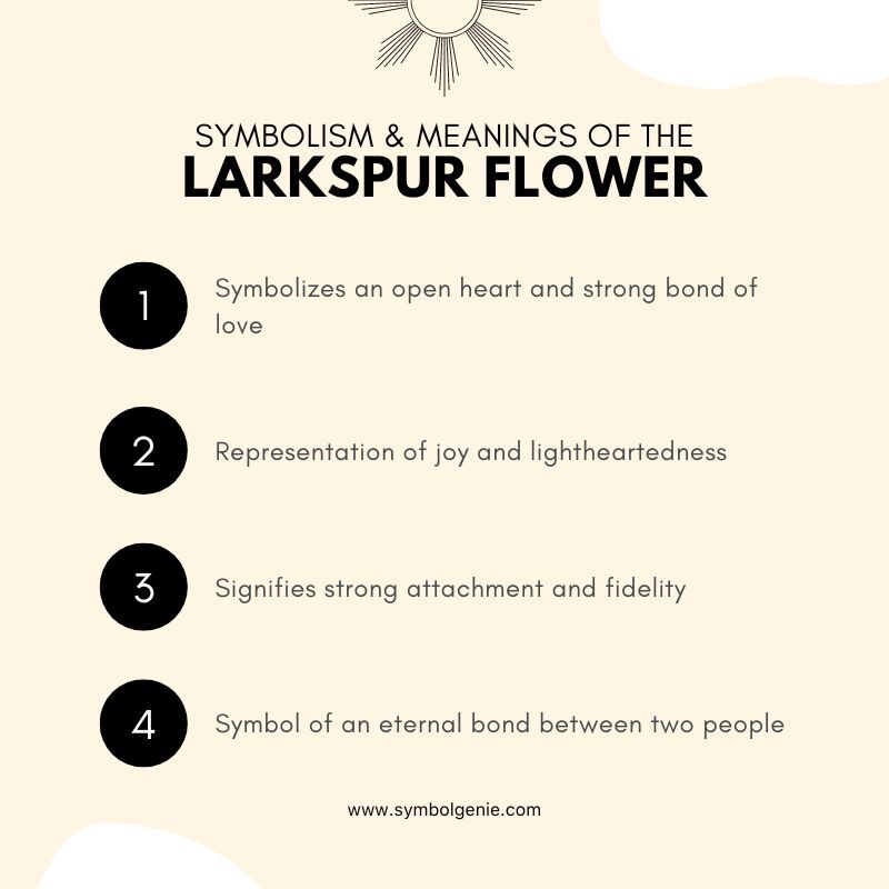 larkspur flower symbolism