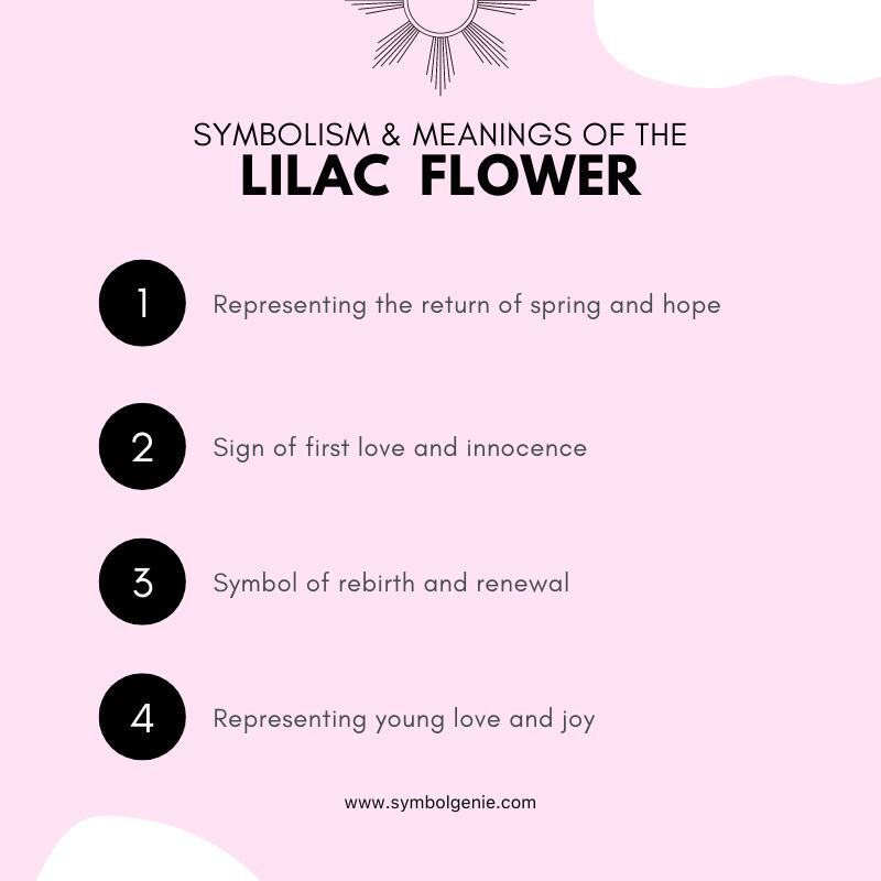 lilac flower symbolism