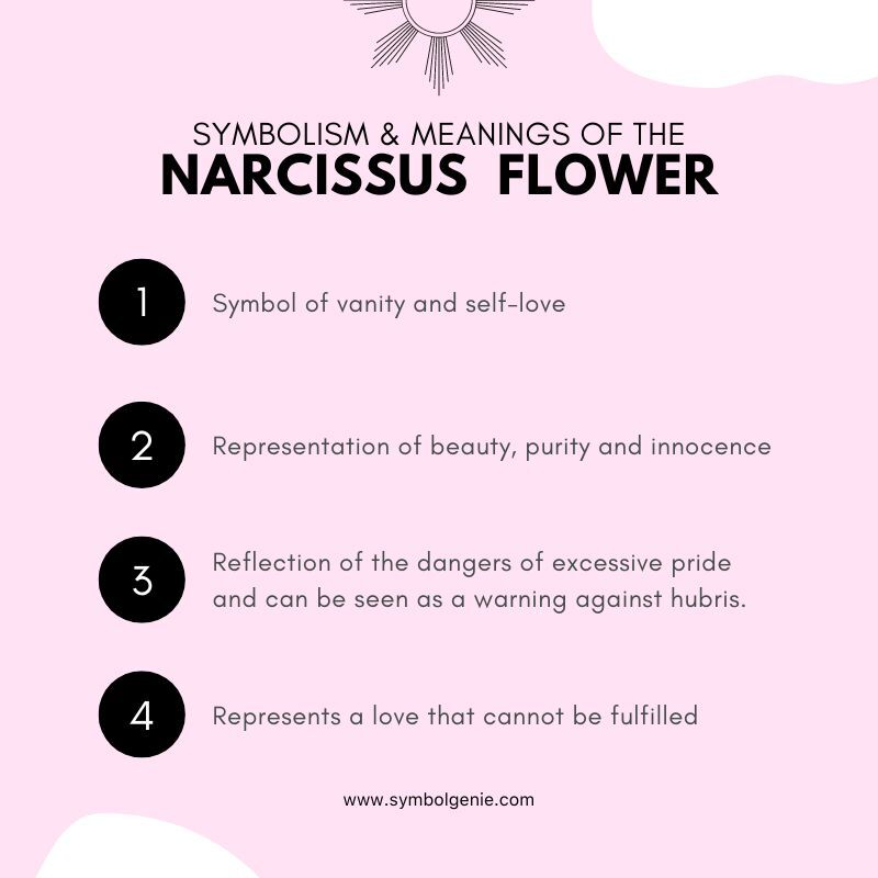Narcissus Flower symbolism