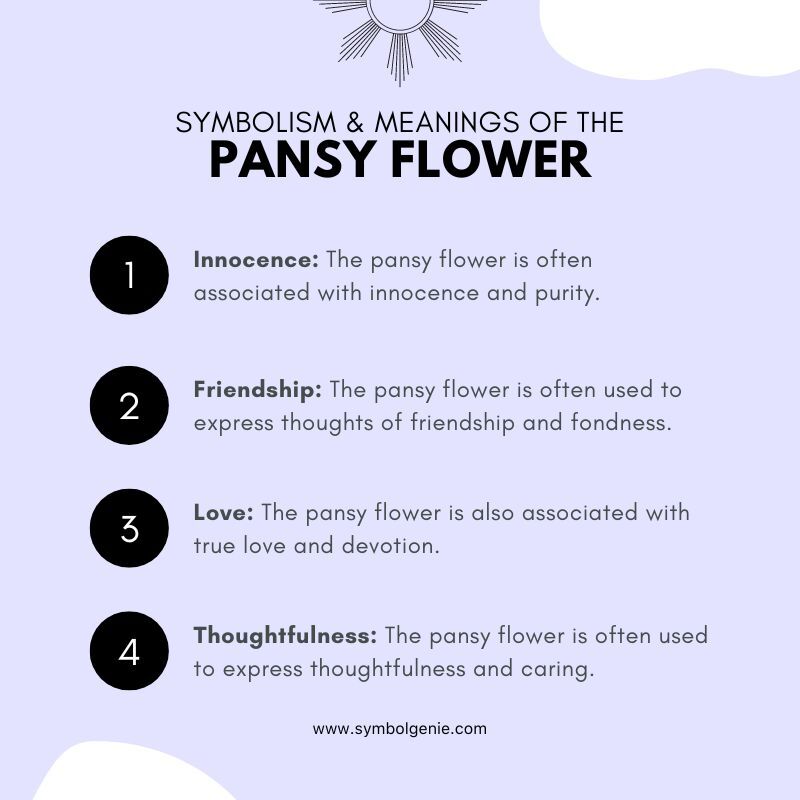 pansy flower symbolism