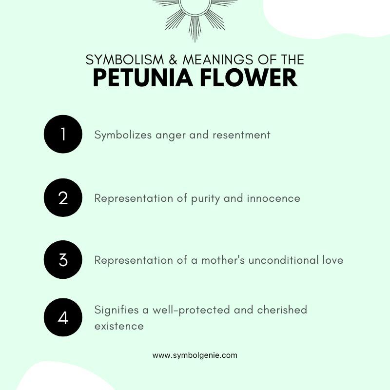 petunia flower symbolism
