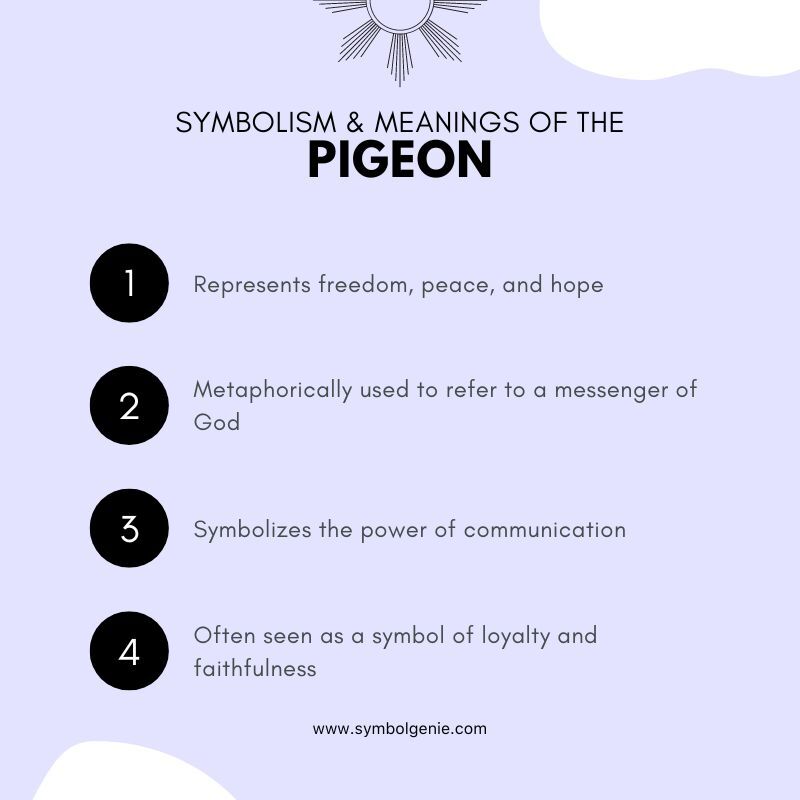 pigeon symbolism