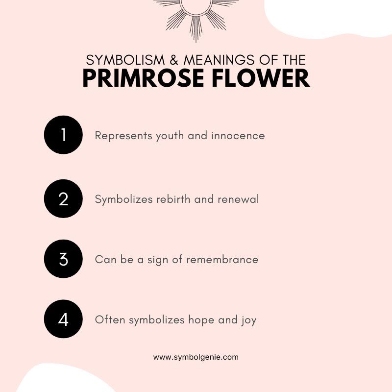 primrose flower symbolism