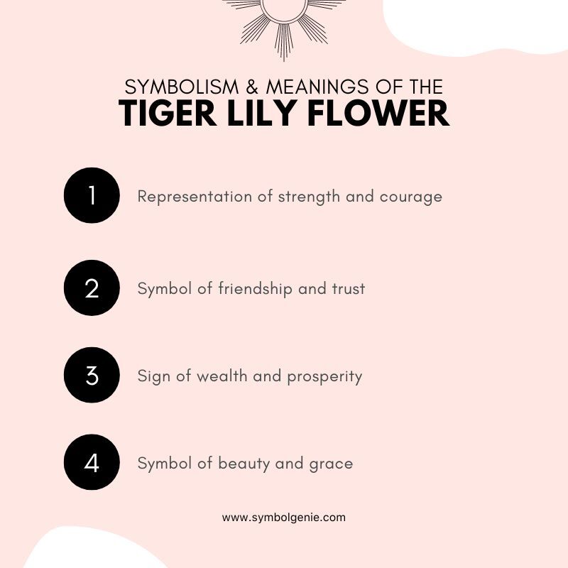 tiger lily symbolism