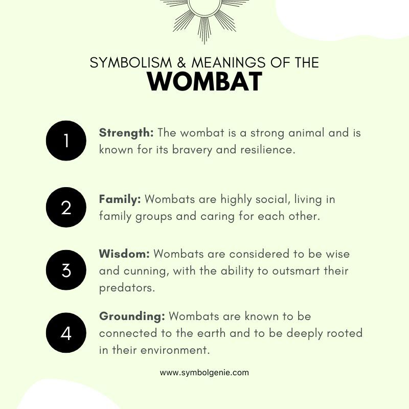 wombat symbolism