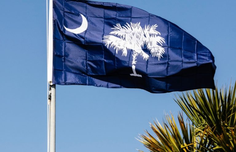 South Carolina Flag Meaning: History And Symbolism